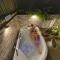 Ecohotel Piedemonte Ecohotel Piedemonte
