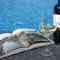 Il Roncal Wine Resort - for Wine Lovers - Cividale del Friuli