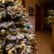 Chalet Aargovia - Wengen