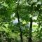 Camping Alkenhaer Appelscha Lege Kampeerplaats