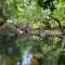 Daintree Secrets Rainforest Sanctuary