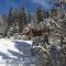 Privatna Sadiba Chalet