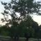 lake Edge Dambulla