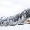 Almchalet Pöllatal