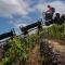 Refuge UWABIO organic Vineyard CinqueTerre