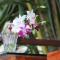 Agonda Wellness