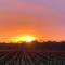 Gîte indépendant entre vignes et océan
