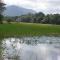 lake Edge Dambulla - Dambulla