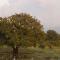 lake Edge Dambulla