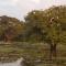 lake Edge Dambulla - Dambulla