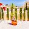 Fabulous 3 Bed House with 4 communal pools - Villacosta
