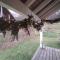 chalet des pierres opalines