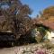 Foto: Vineyard Cottage Gole 1/16