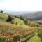 Vineyard Cottage Janko & Metka