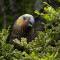 Kaka Retreat Motel, Stewart Island