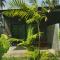 Natai House Resort นาใต้เฮ้าส์ รีสอร์ท