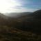 The Golden Larches - Lochearnhead