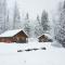 Mt. Revelstoke Alpine Chalets