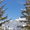 Grand Hôtel Courchevel 1850 - 谷雪维尔