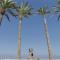 Infinity Blue Boutique Hotel & Spa - Adults Only