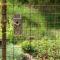 Bergliot Bed & Breakfast
