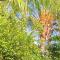 Mangrove