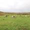 Clover Cottage - Kirkby Stephen