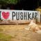 The Hostel Air Pushkar - Pushkar
