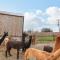 Colomendy Alpaca Farm - Coach House - 莫尔德