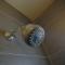 Studio City Inn - Near Universal Studios Hollywood