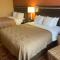 Quality Inn Vineland