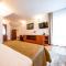 Vila Diana - Poiana Brasov with breakfast optional at hotel Simona Halep