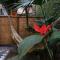 VELINN Pousada Gaia Gardens