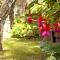 Carilo Village Apart Hotel & Spa