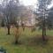 Apartament Terebelska P