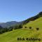 Appartement Alpenstern