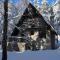 PLANINSKA VILA SMIGIC