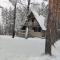 PLANINSKA VILA SMIGIC