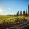 Poggio Golo - Villa and Winery - Tuscany