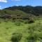 Hill top view farm stay - Uruti
