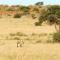 Gondwana Kalahari Anib Lodge