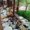 Api-api Eco Chalet - Pantai Kok