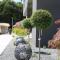 Hotel Leone