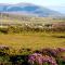 Foto: Achill Lodge Guest House 30/33