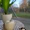 Glamping Krauschwitz