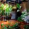 Hermosa Finca "Rancho 4Js"