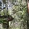 True North - 4BR Home & Garden in Bush Setting with Huge Bath - Bilpin