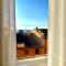 CasaViva-Central Elegant apartment in Camogli