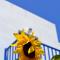 Hotel Bilia