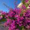 NISSI 3 VIEW HOLIDAY 2 BEDROOM APARTMENT